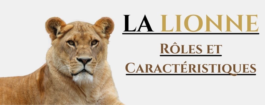 La Lionne R les et Caract ristiques Plan te Lion