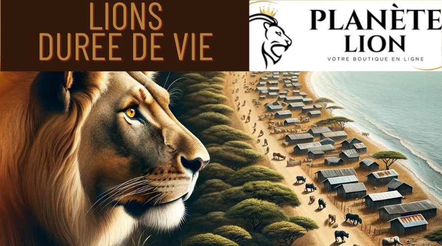 Quelle est la durée de vie d'un lion ?