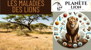 Les Maladies Affectant Les Lions : Un Danger Croissant