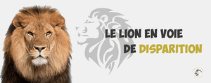 Le Lion en Voie de Disparition