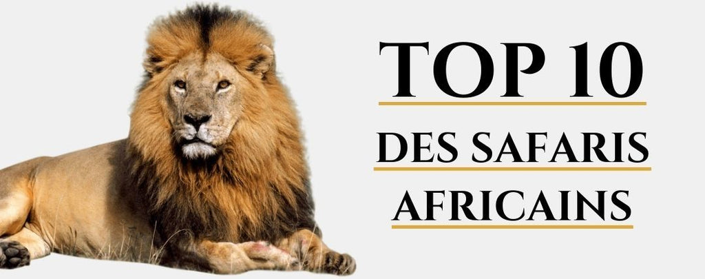 Top 10 des Safaris en Afrique