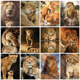 Tableau Lion Lionne et Lionceau