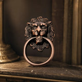 Heurtoir Lion Bronze Antique porté