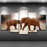 Tableau Lionne Soleil Couchant