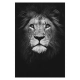 Toile Lion Air Menaçant