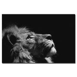 Toile Lion Tranquillité