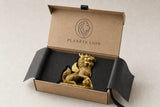 Statues Lions Chinois — ce que vous allez recevoir