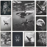 Tableau Lionne Furtive