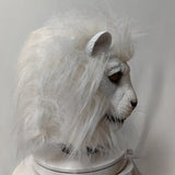 Masque Lion Flippant