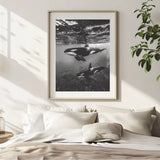 Tableau Lionne Noir et Blanc