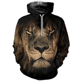 Sweat Lion Regard Intense
