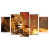 Tableau Lion Couple Paisible