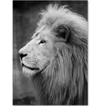 Toile Lion Profil Gauche