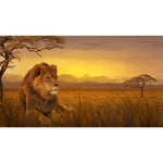 Toile Lion Savane Africaine