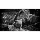 Toile Lion Union